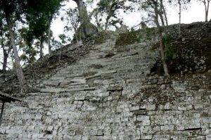 Stonework ruined by jungle vegetation