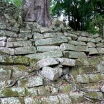 Stonework ruined by jungle vegetation