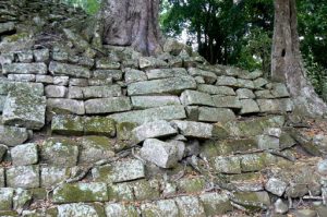 Stonework ruined by jungle vegetation