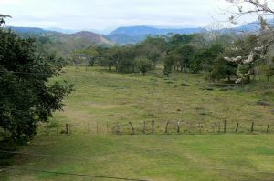 The hills around Copan