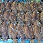 Tasty street food--dried fish