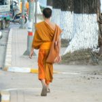 Young monk