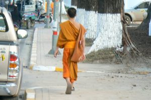 Young monk