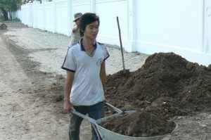 Planting gardens for Vientiane anniversary