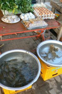 Frogs and crabs ready to be eaten for lunch