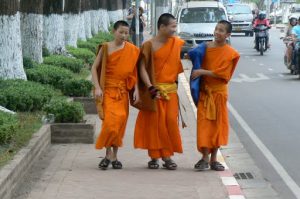 Young monks on their way...