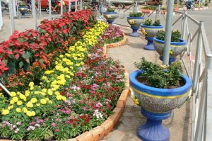 Flower beds being installed for Vientiane anniversary