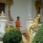 Monk leaving temple after ceremony