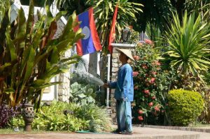 Watering plants at upscale hotel