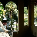 Lots of foliage everywhere in Luang Prabang