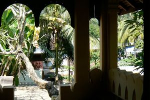 Lots of foliage everywhere in Luang Prabang