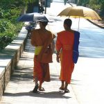 Monks protected from the hot sun