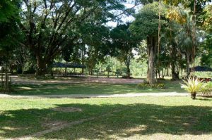 Park on the river