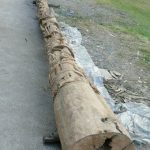 Carved totem pole in Tung and Kim Park