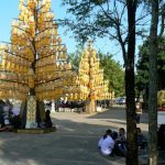 Ceremonial trees in Tung and Kim Park
