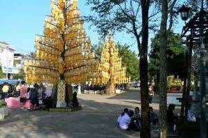Ceremonial trees in Tung and Kim Park