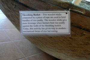 Inside Hill Tribe Museum: threshing basket