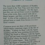 Comment on the Buddha sculptures in the caves