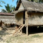 Thatch houses