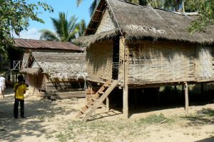 Thatch houses