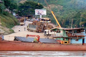 Huge tree stumps being loaded onto a cargo boat; the