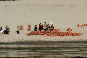 Kids stacking bricks for sale or shipping