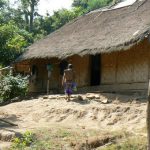 A large thatch house is home to multi-generational families