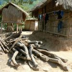 Firewood stacked next to bamboo and thatch huts