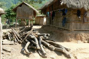 Firewood stacked next to bamboo and thatch huts