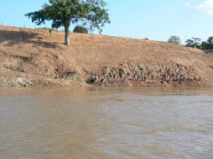 Workers hand digging a road along the river