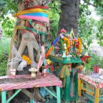 Offerings of flowers and food to the tree spirit