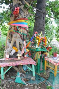 Offerings of flowers and food to the tree spirit