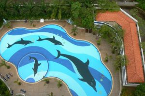 Looking down on a swimming pool from 20th floor