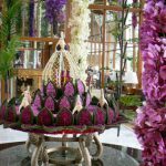 Orchid display in the lobby of the Heritage Hotel