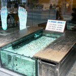 Fish spa: dip your feet in the water and little