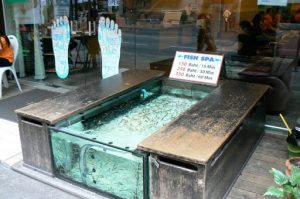 Fish spa: dip your feet in the water and little