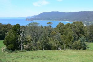 Along the east coast are beautiful mountains, beaches and forests.