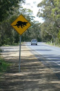 Rural road with road sign warning to be aware of