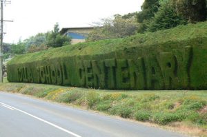 Yolla town topiary skills gone awry!