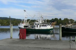 Strahan town along the Macquarie Harbor on the west coast