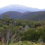 Tasmania's western wilderness