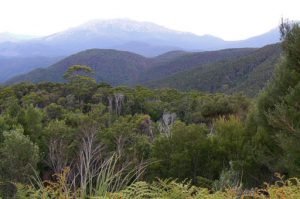 Tasmania's western wilderness