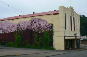 Old theatre with painted mural in Queenstown