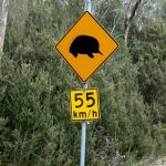 Warning sign for Short-beaked Echidna. The Short-beaked Echidna also known as