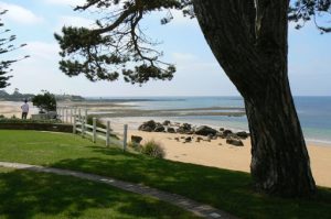 The north coastline in Penguin