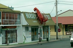 Grocery store in Stanley