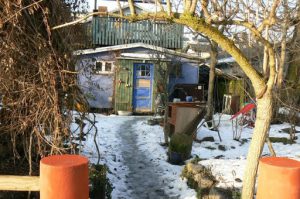 Informal garden and eclectic house