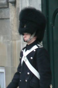Close-up of a royal guard