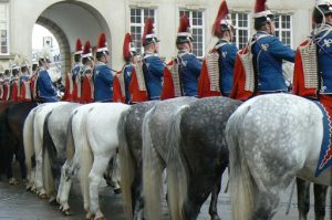 Horse guard for Queen Margrethe