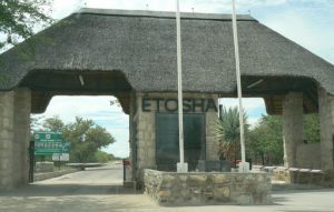 Namibia Etosha Park, west entrance